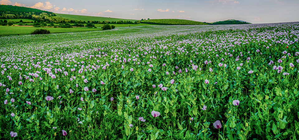 Discover the stunning landscapes of Alsópetény!