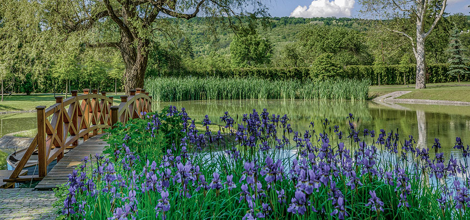 Discover the stunning landscapes of Alsópetény!